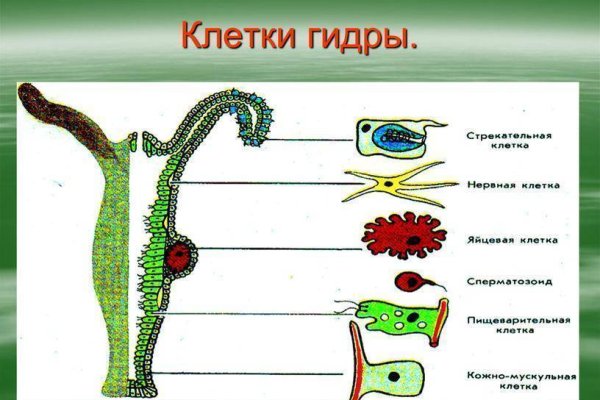 Кракен даркнет kraken014 com